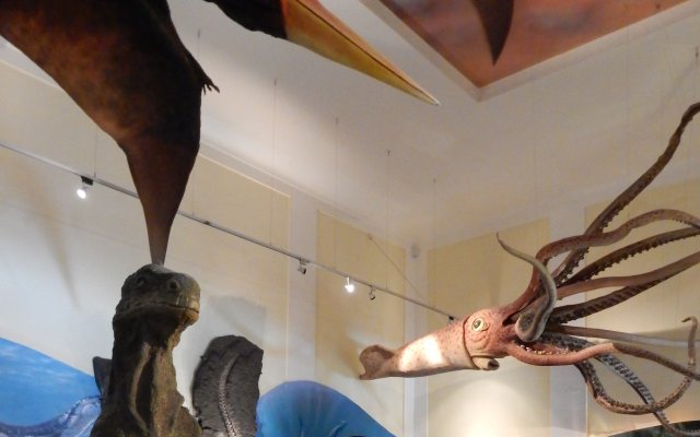 Muzeum Haus der Natur